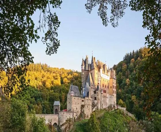 Frankfurt: Eltz Castle, Cochem and Moselle Valley Private Tour