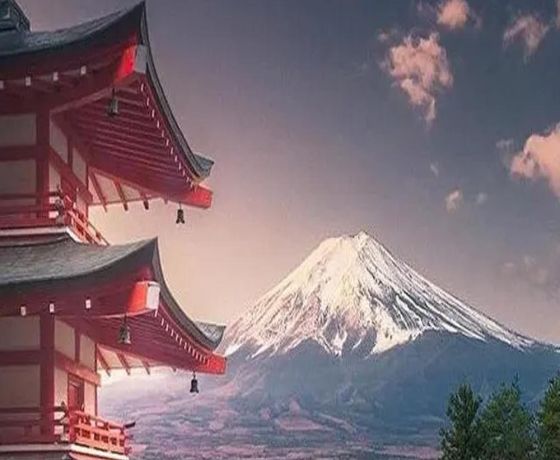 Private Tour to Mt. Fuji and Hakone 